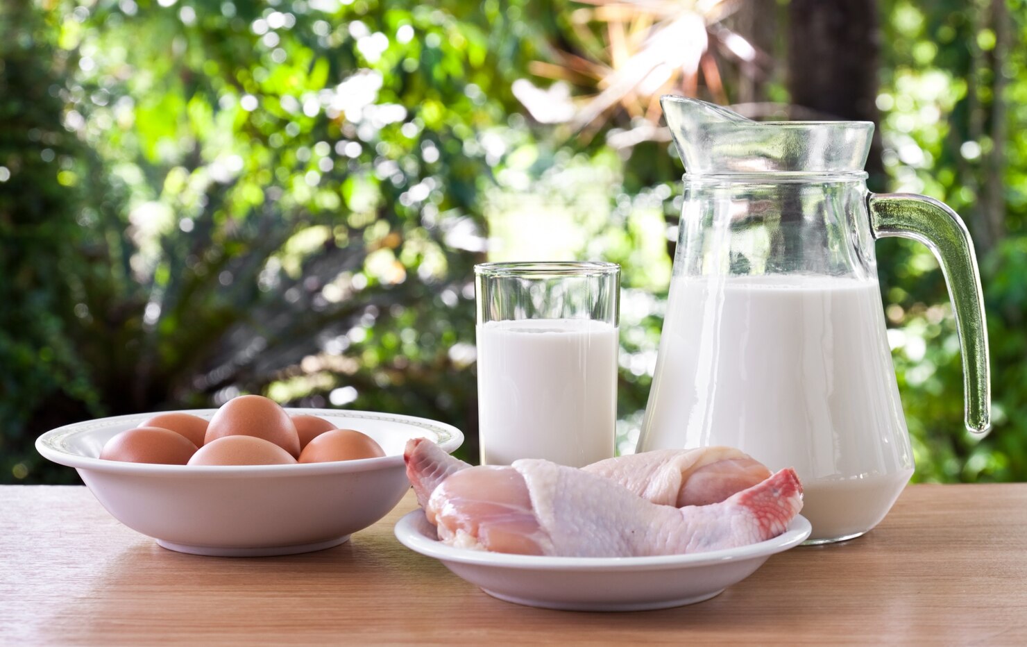 Bahaya Penyakit Brucellosis dari Produk Susu Hewan yang Tidak Dipasteurisasi