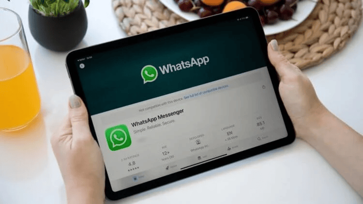WhatsApp Message Summarize