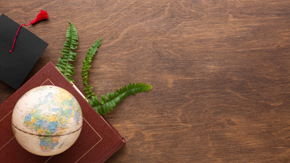 Sejarah Hari Guru Nasional, Jejak Panjang Pengabdian dan Transformasi Pendidikan Indonesia