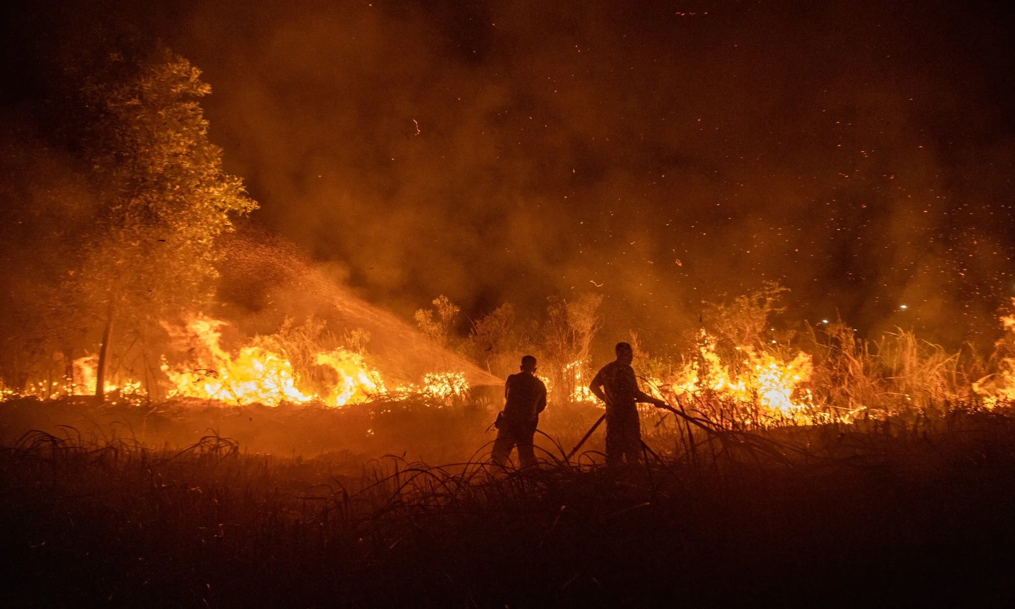 Penyebab Kebakaran Kalimantan dan Faktor yang Membuat Karhutla Terus Berulang